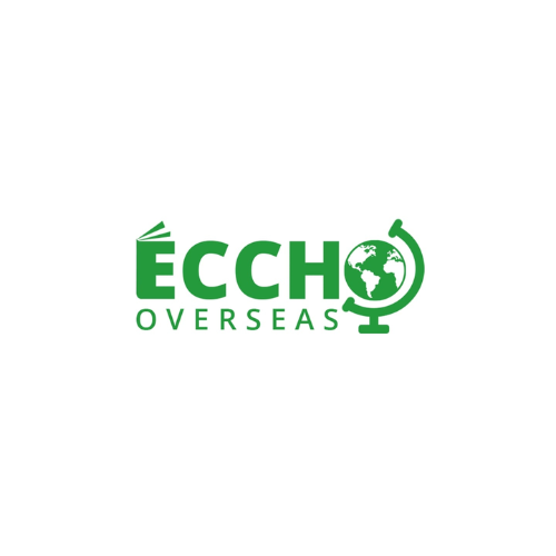 Magni Digitech Client Eccho Overseas